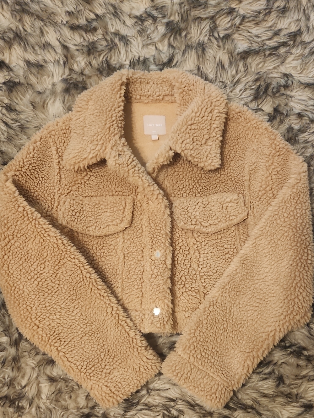 Willow Boutique Love Tree Cropped Teddy Jacket in Camel Tan